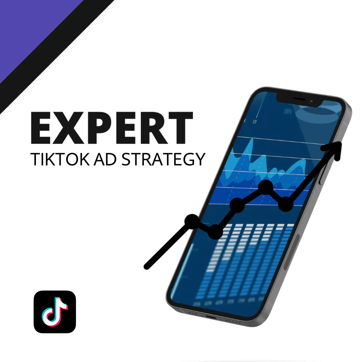 TikTok Ad Strategy